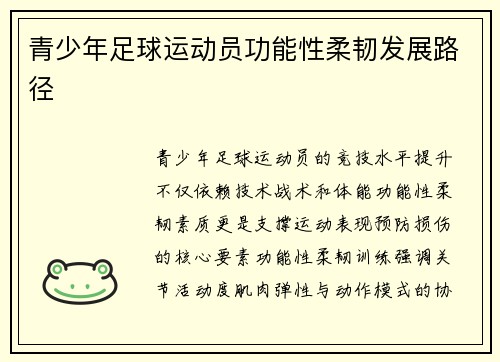 青少年足球运动员功能性柔韧发展路径